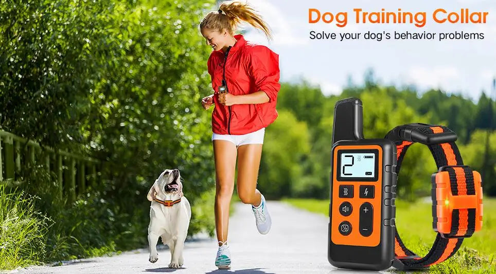 Waterproof Rechargeable Dog Training Collar with Remote - Smarsty