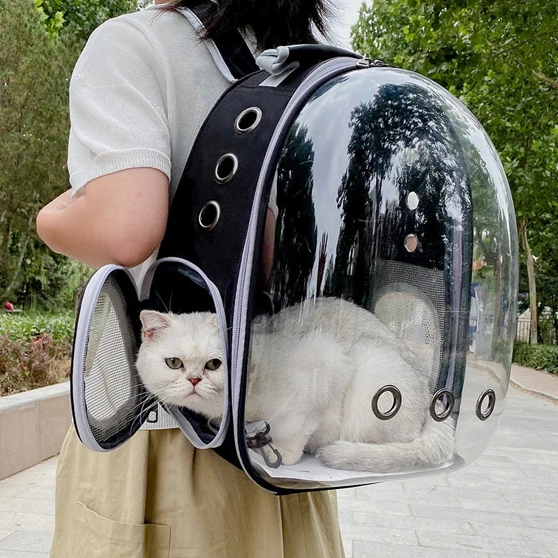 Breathable Transparent Cat Backpack for Easy Travel - Smarsty