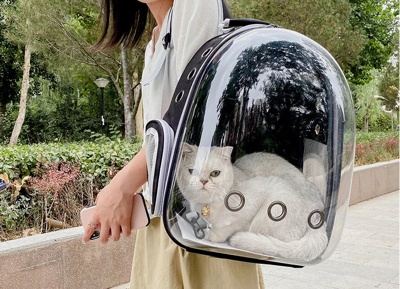 Breathable Transparent Cat Backpack for Easy Travel - Smarsty