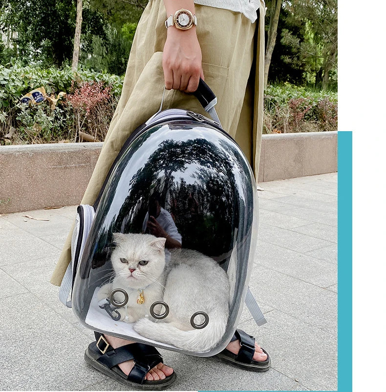 Breathable Transparent Cat Backpack for Easy Travel - Smarsty