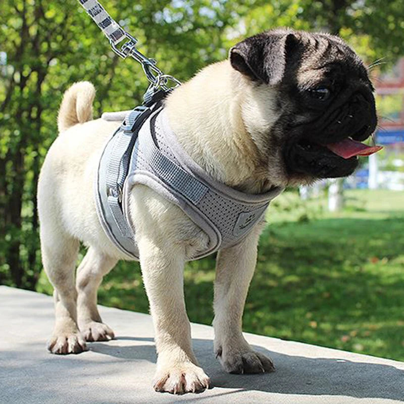 Adjustable Mesh Dog Harness with Comfortable Leash - Smarsty