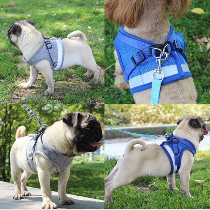 Adjustable Mesh Dog Harness with Comfortable Leash - Smarsty