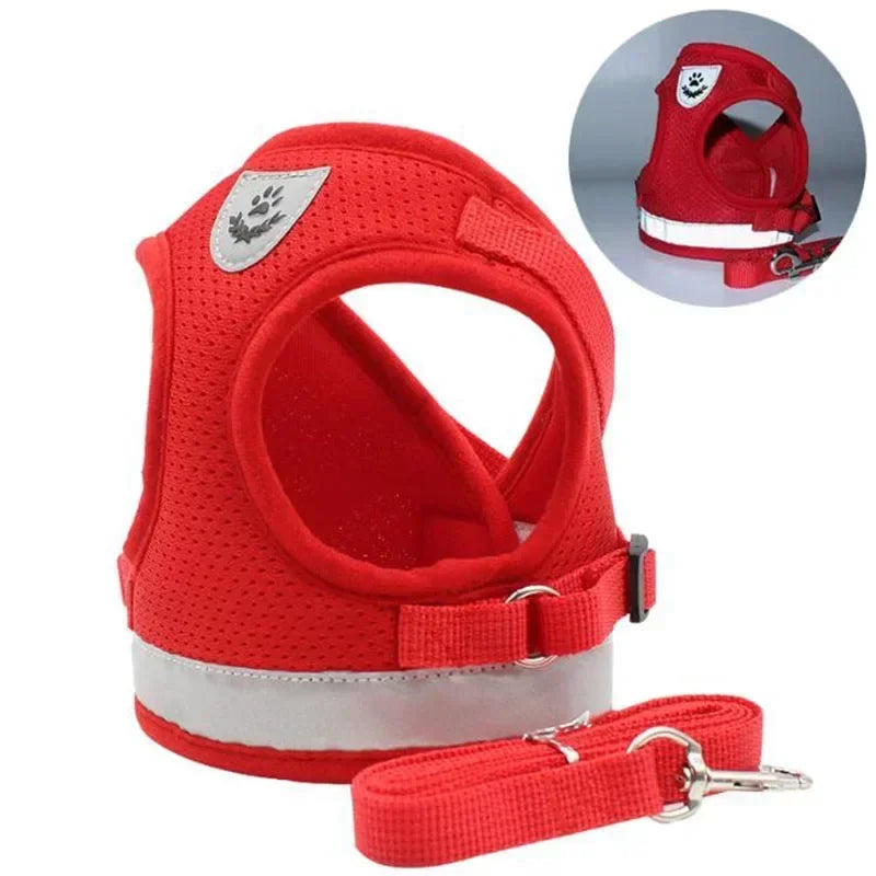 Adjustable Mesh Dog Harness with Comfortable Leash - Smarsty