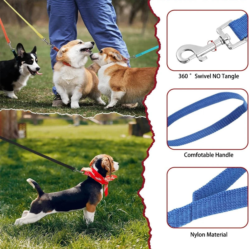 Nylon Dog Training Leash for All Sizes - Smarsty