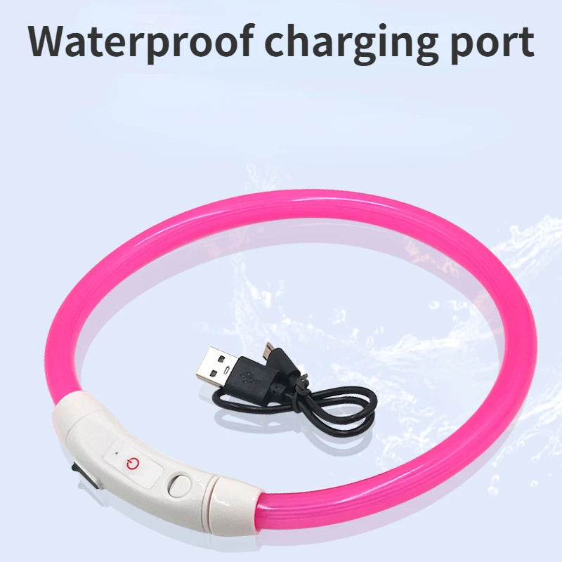 LED Pet Collar with USB Charging for Safety - Smarsty