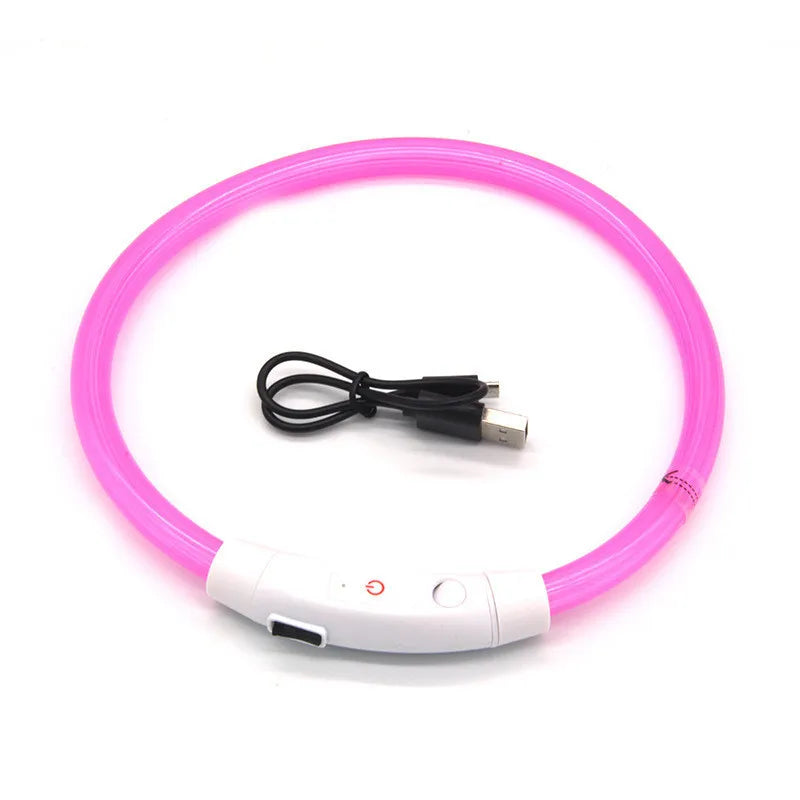 LED Pet Collar with USB Charging for Safety - Smarsty