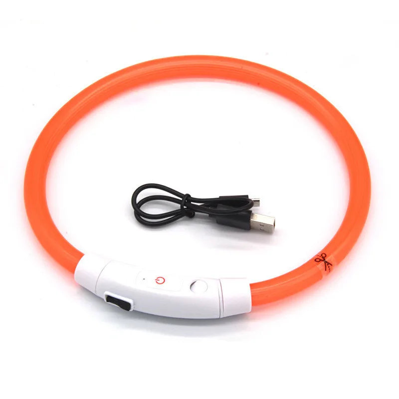 LED Pet Collar with USB Charging for Safety - Smarsty