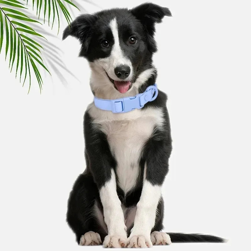 Waterproof Macaron Colored PVC Dog Collar Easy To Clean - Smarsty