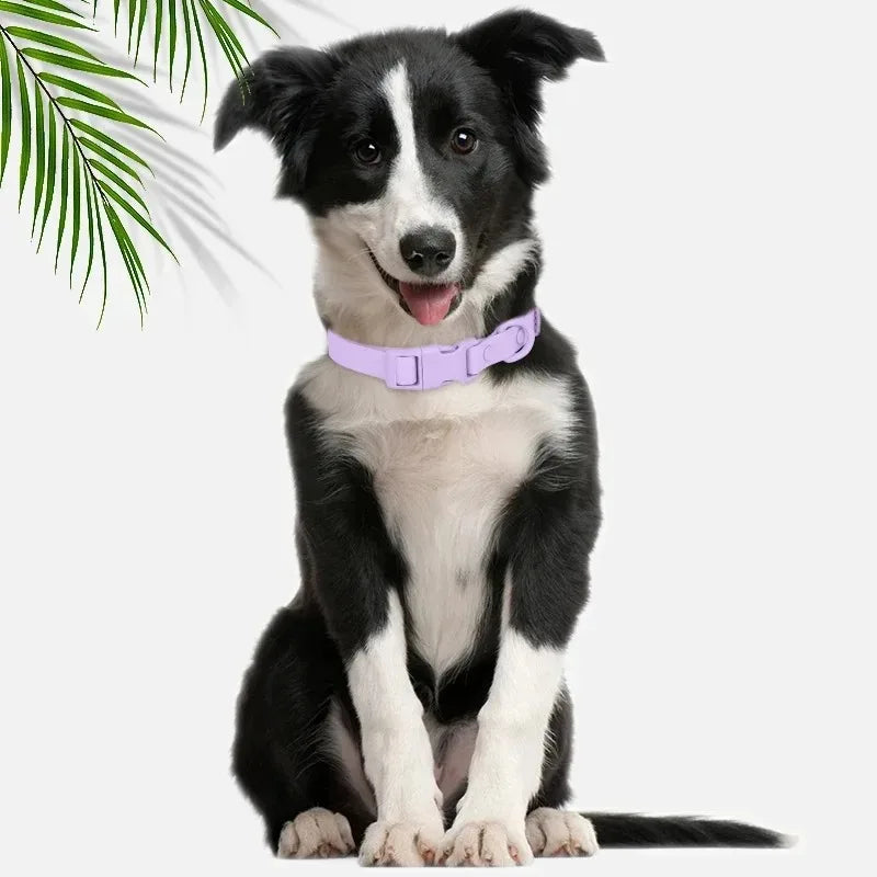 Waterproof Macaron Colored PVC Dog Collar Easy To Clean - Smarsty