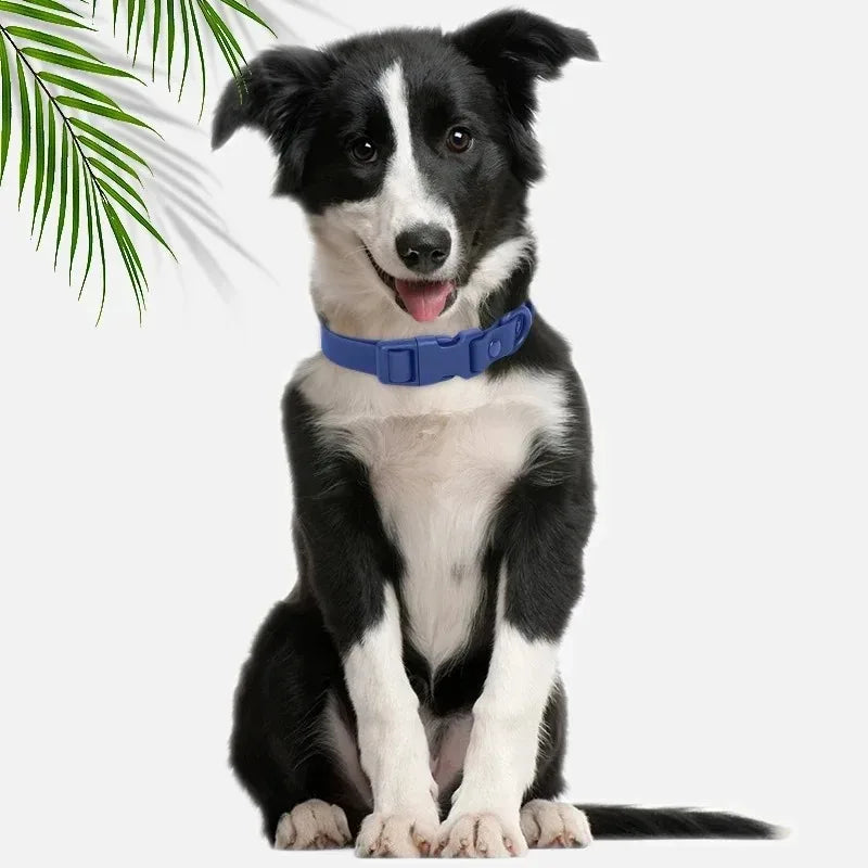 Waterproof Macaron Colored PVC Dog Collar Easy To Clean - Smarsty