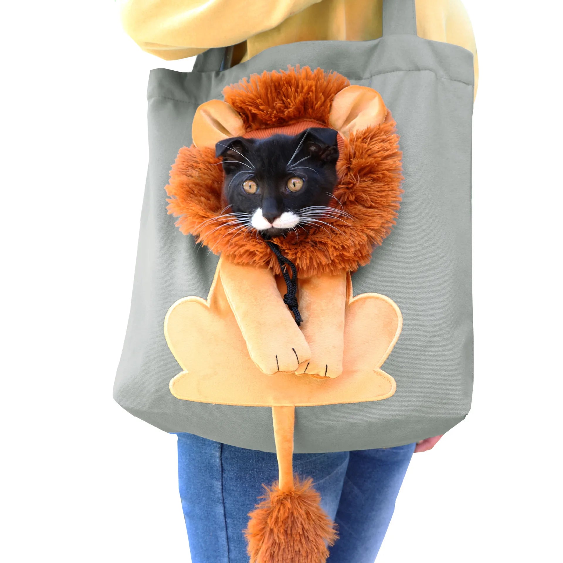 Lion Shaped Pet Carrier Bag for Comfortable Travel - Smarsty