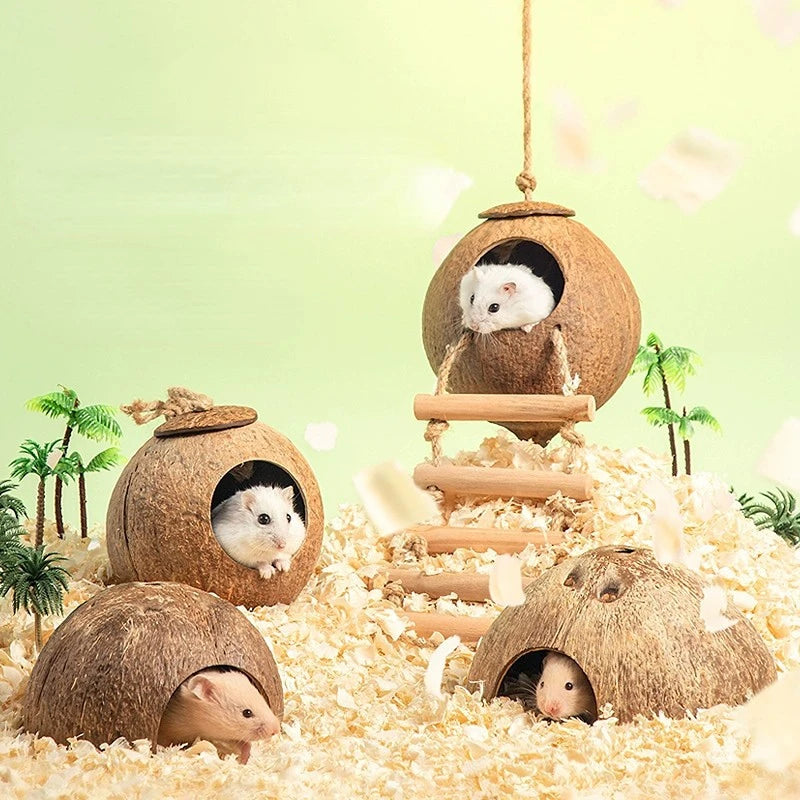 Bite-Resistant Natural Coconut House for Small Pets - Smarsty