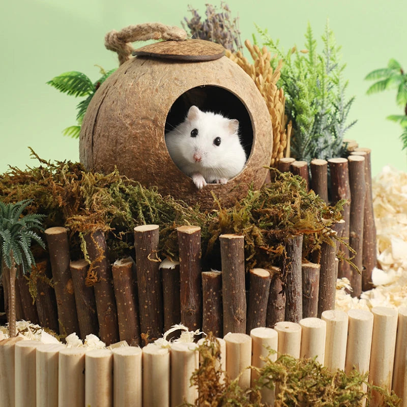 Bite-Resistant Natural Coconut House for Small Pets - Smarsty
