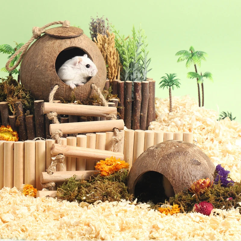 Bite-Resistant Natural Coconut House for Small Pets - Smarsty