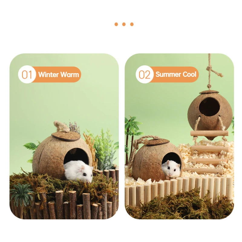 Bite-Resistant Natural Coconut House for Small Pets - Smarsty