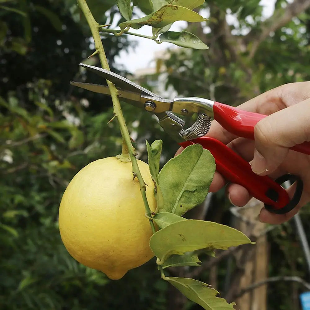 Ergonomic Gardening Hand Pruner with Stainless Steel Blades - Smarsty