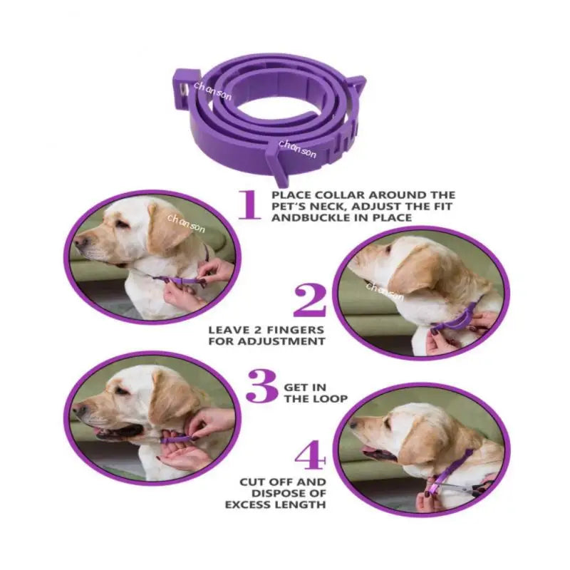 Adjustable Pet Calming Collar for Anxiety Relief - Smarsty