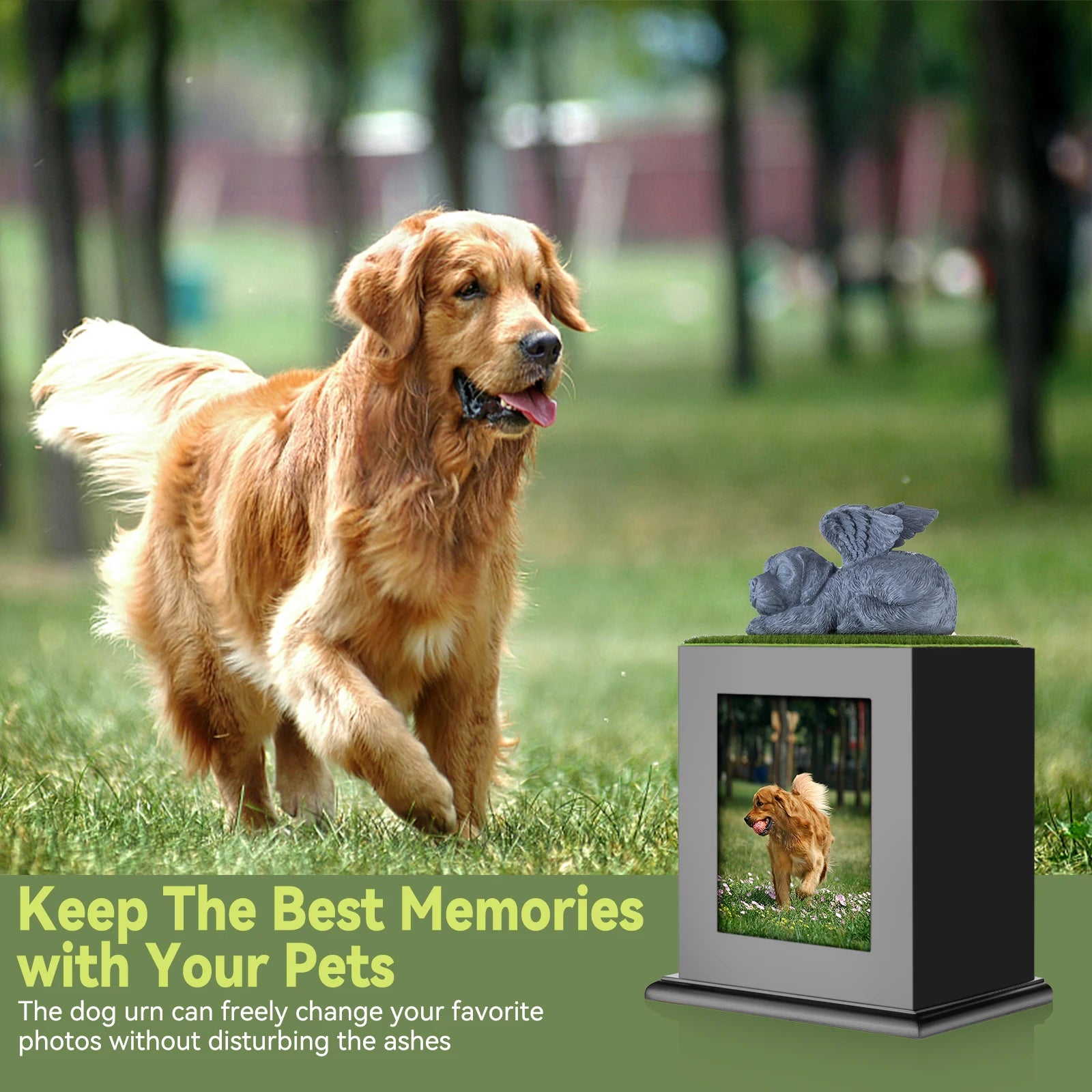 Large Dog Pet Cremation Urn with Photo Box - Smarsty