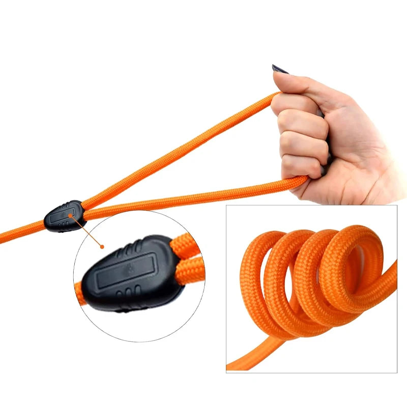 Heavy Duty Nylon Dog Leash for Training - Smarsty