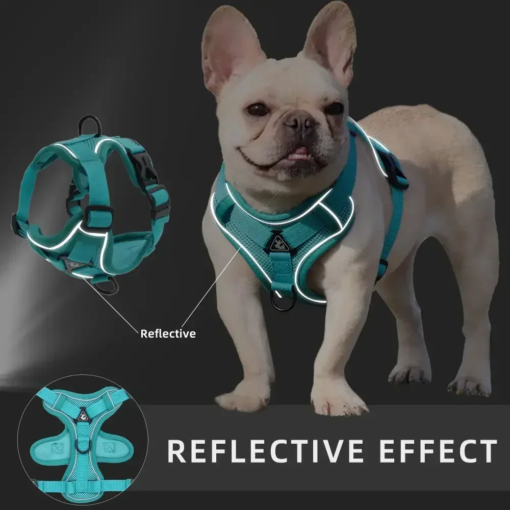 No Pull Adjustable Dog Harness and Leash Set - Smarsty