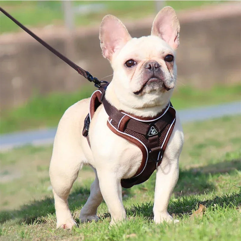 No Pull Adjustable Dog Harness and Leash Set - Smarsty