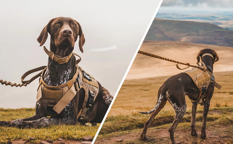 Tactical Dog Harness and Leash Set for All Breeds - Smarsty