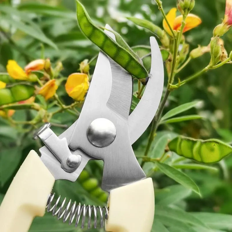 Stainless Steel Flower Scissors for Precise Cutting - Smarsty
