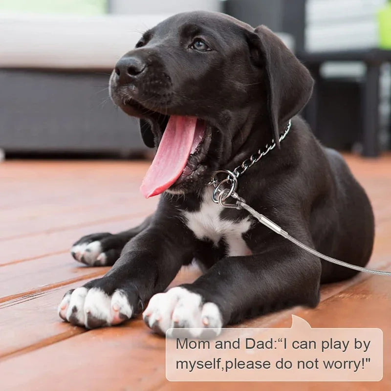 Double-Headed Dog Tie Out Cable Leash for Outdoor Training - Smarsty