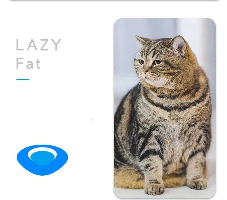 Funny Electric Catnip Bug Toy with Automatic Tunnel - Smarsty