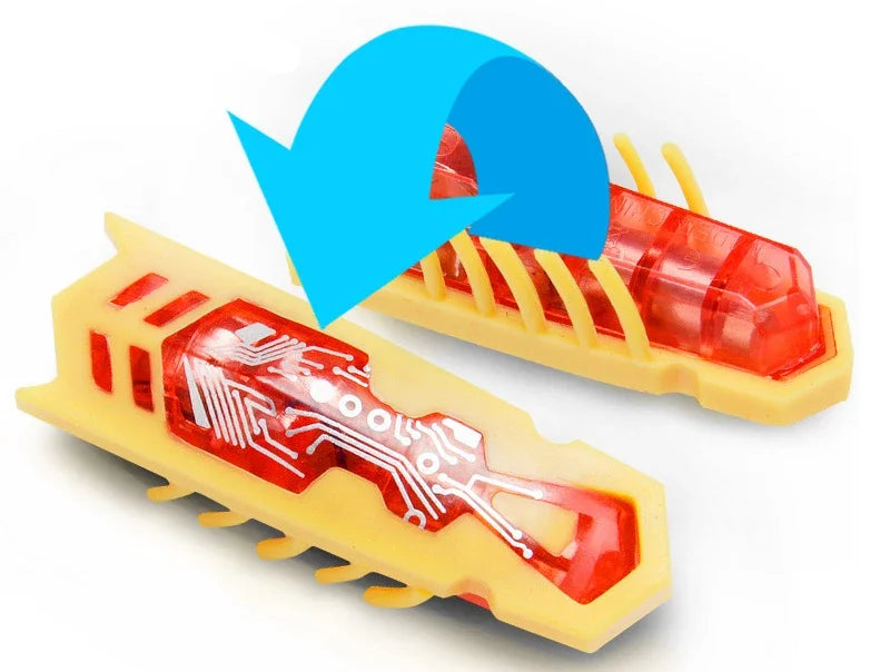 Funny Electric Catnip Bug Toy with Automatic Tunnel - Smarsty