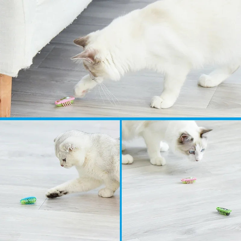 Funny Electric Catnip Bug Toy with Automatic Tunnel - Smarsty