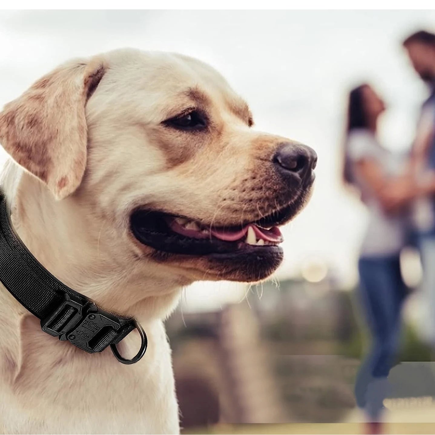 Adjustable Tactical Dog Collar with Control Handle - Smarsty