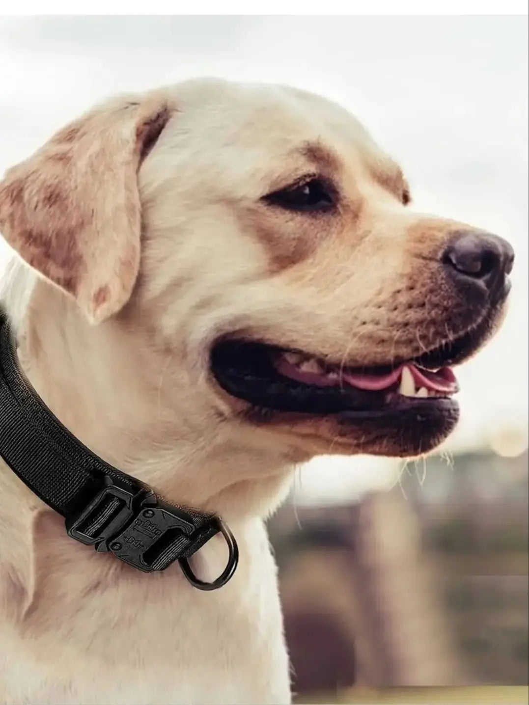 Adjustable Tactical Dog Collar with Control Handle - Smarsty