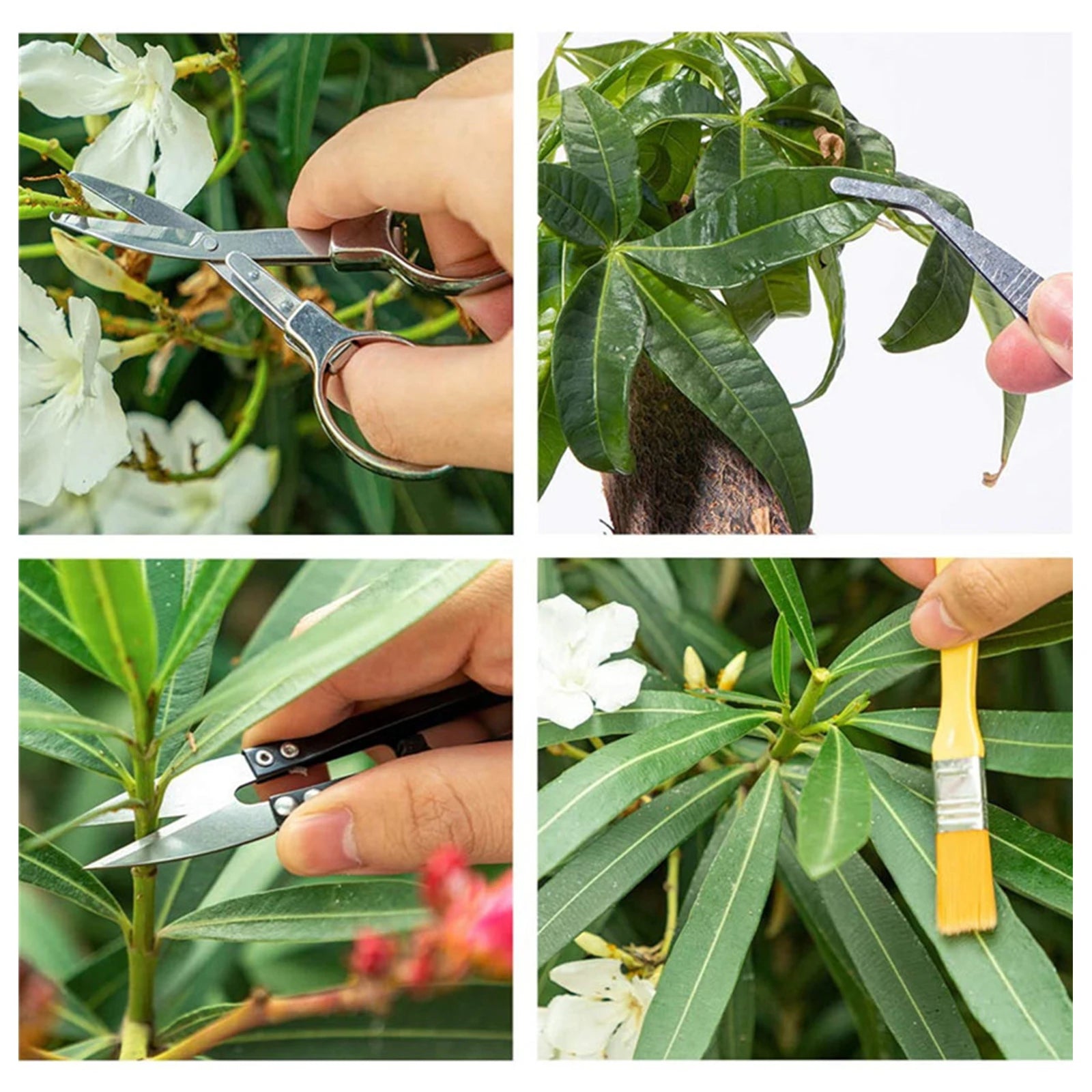 12PCS Garden Planting Tool Set for Easy Transplanting - Smarsty