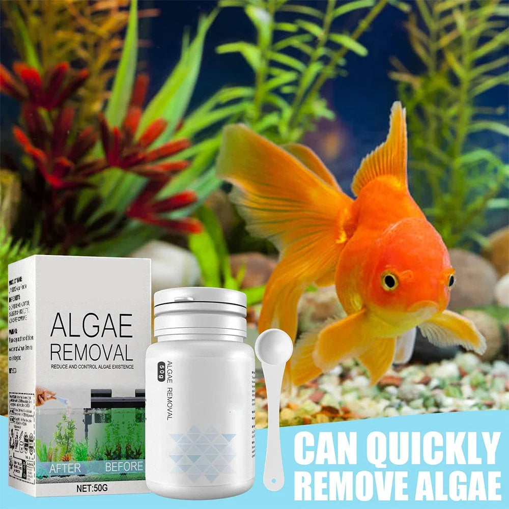 Algae Remover Powder for Clear Fish Tanks - Smarsty