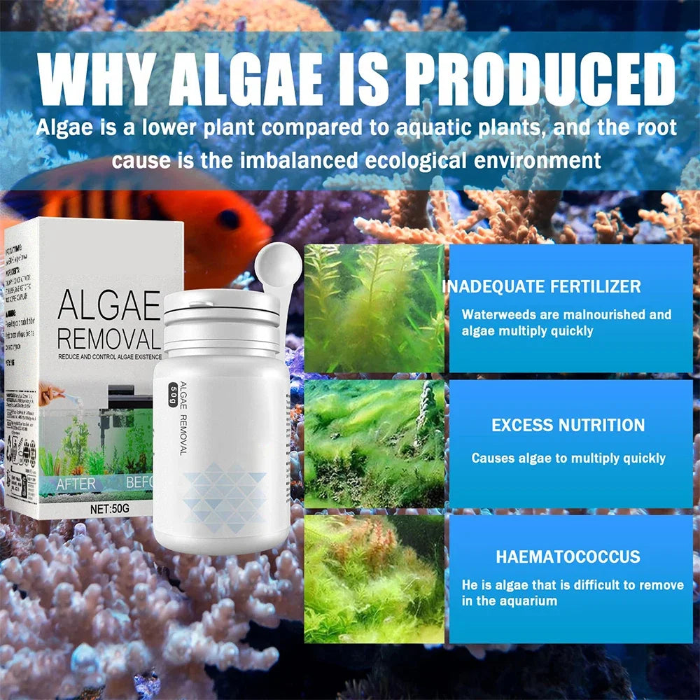 Algae Remover Powder for Clear Fish Tanks - Smarsty