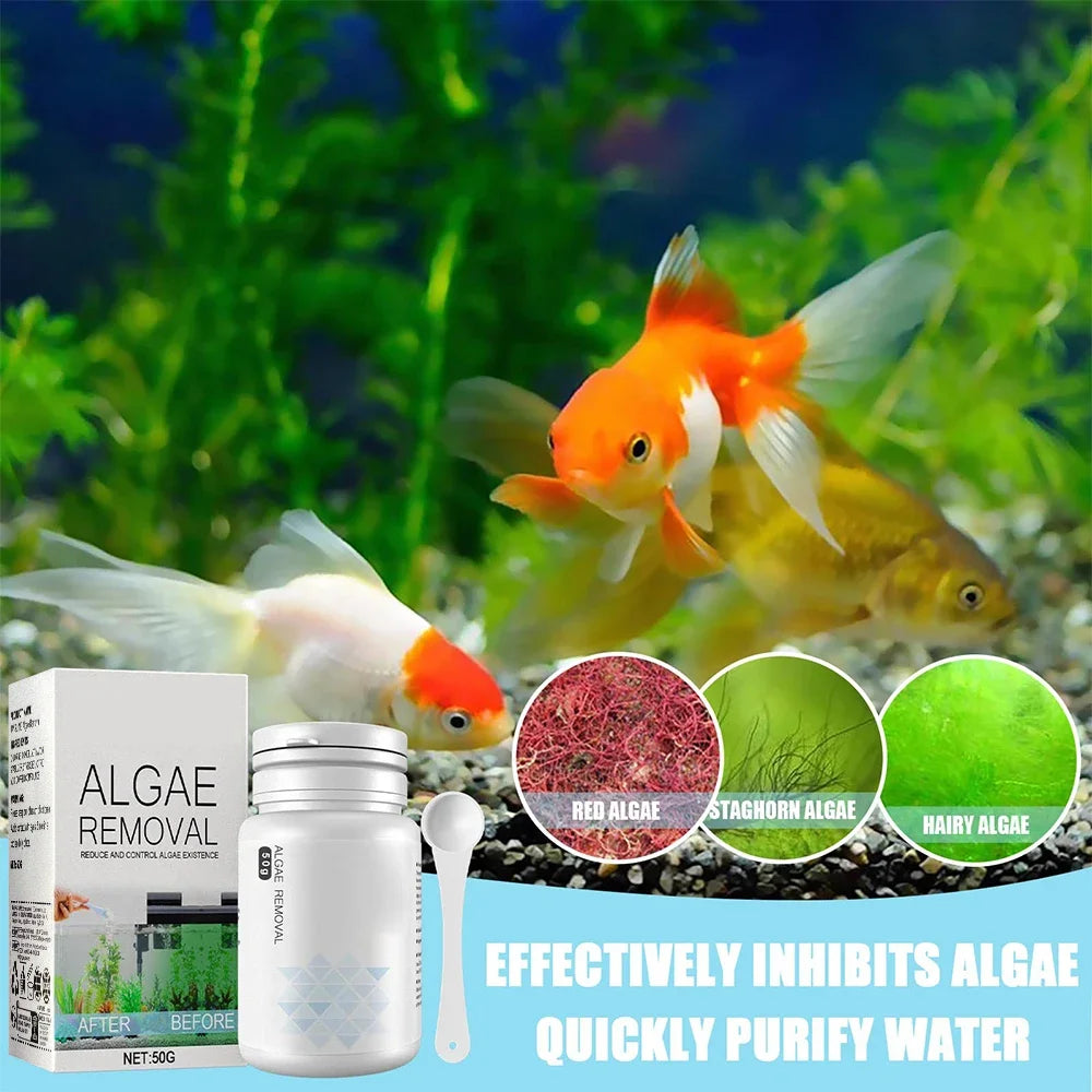 Algae Remover Powder for Clear Fish Tanks - Smarsty