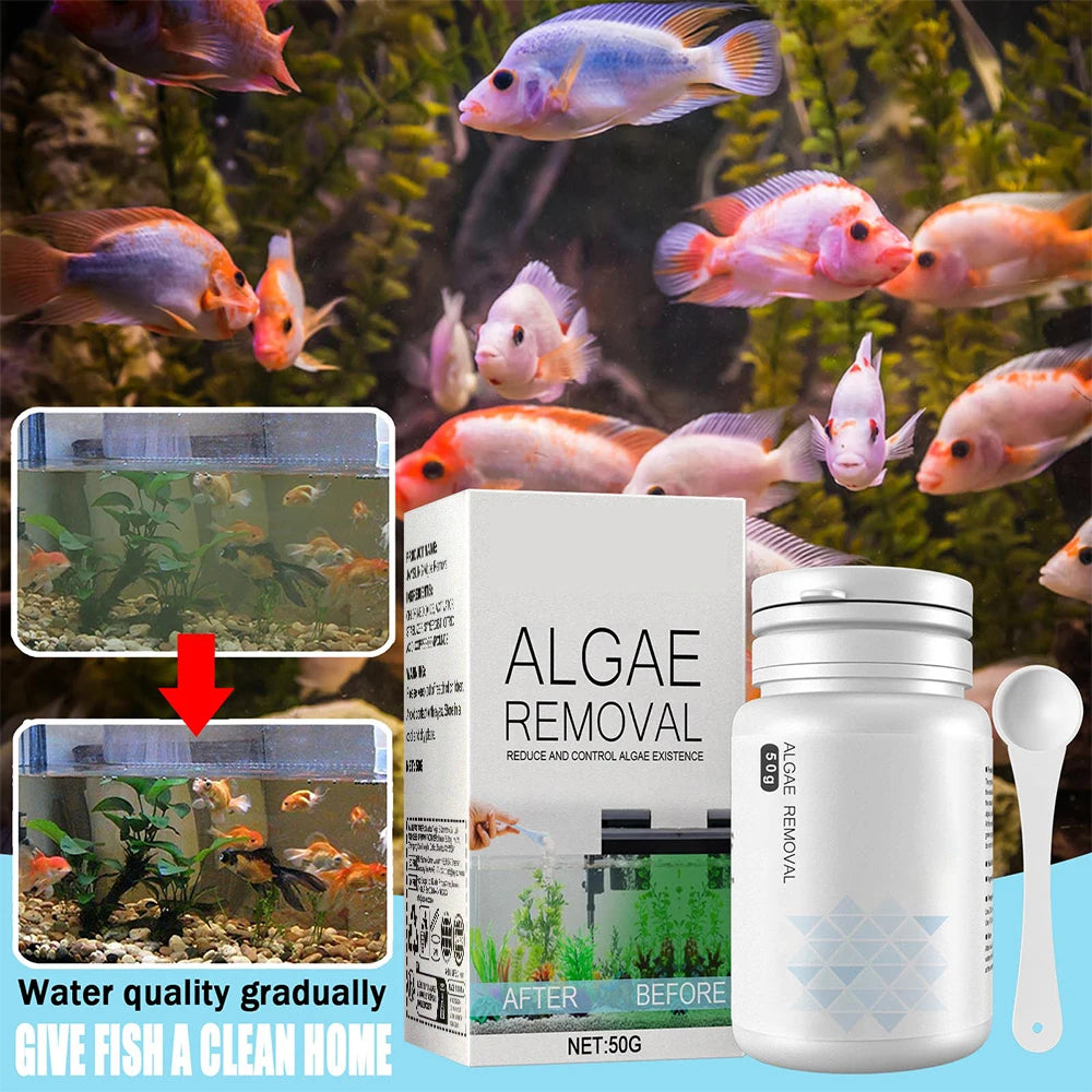 Algae Remover Powder for Clear Fish Tanks - Smarsty
