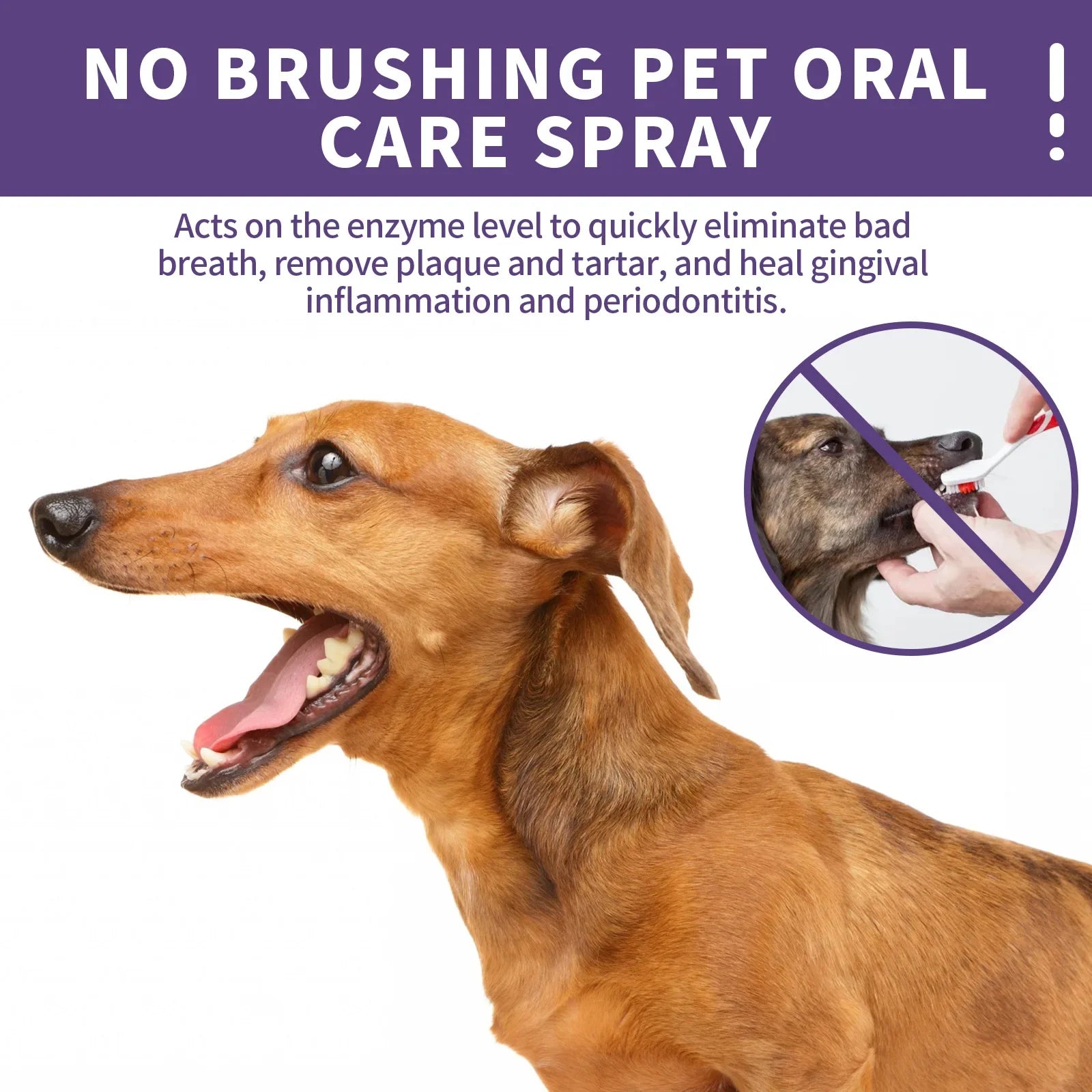 Pet Oral Cleanse Spray for Fresh Breath in Dogs and Cats - Smarsty