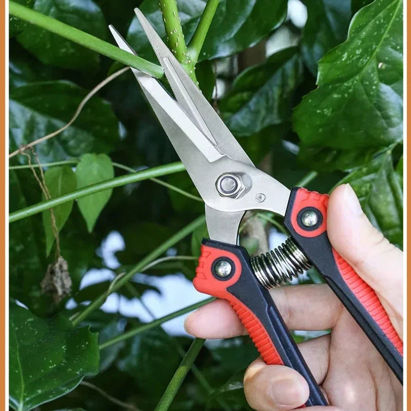 Stainless Steel Pruning Shears with Non Slip Handle - Smarsty