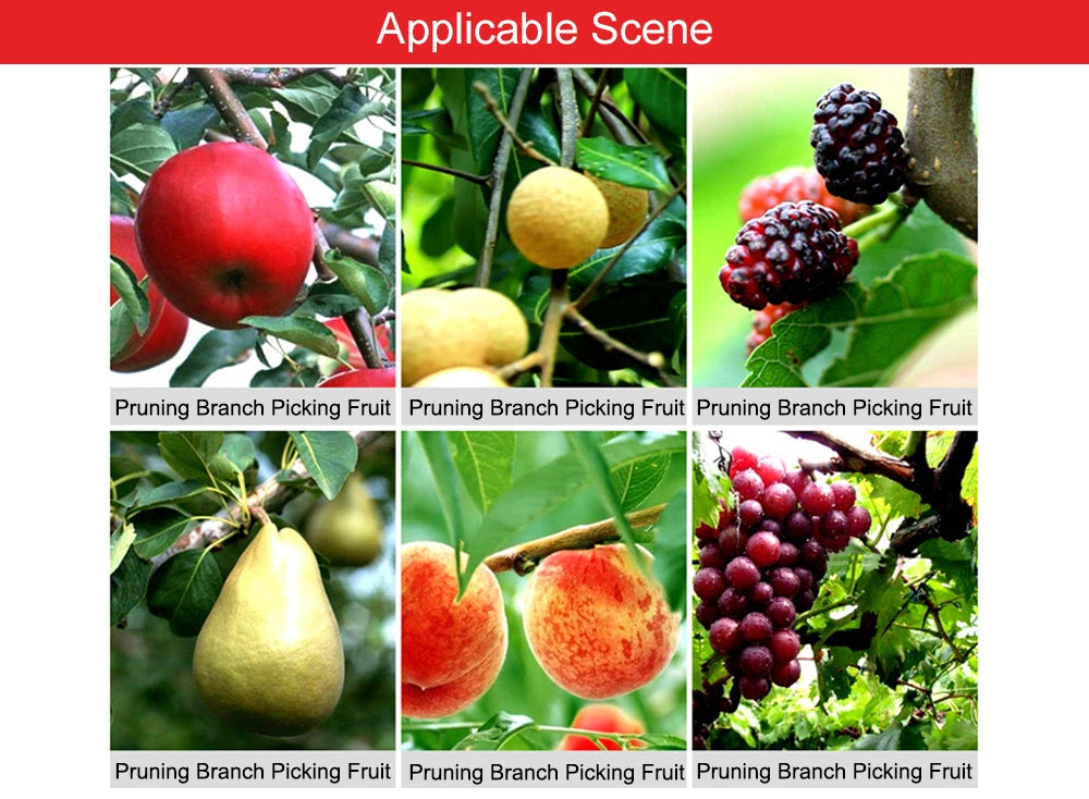 Stainless Steel Pruning Shears with Non Slip Handle - Smarsty