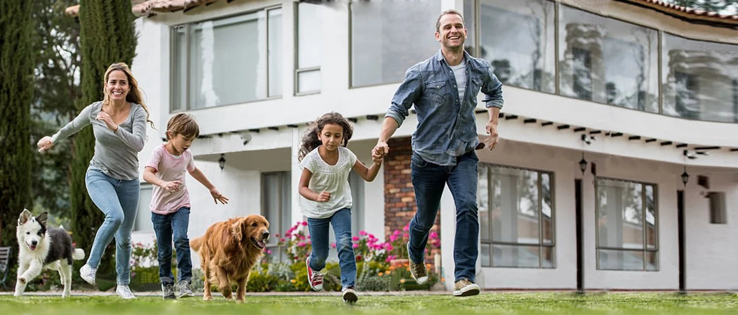 Dog Training Collar with Remote Waterproof Feature - Smarsty