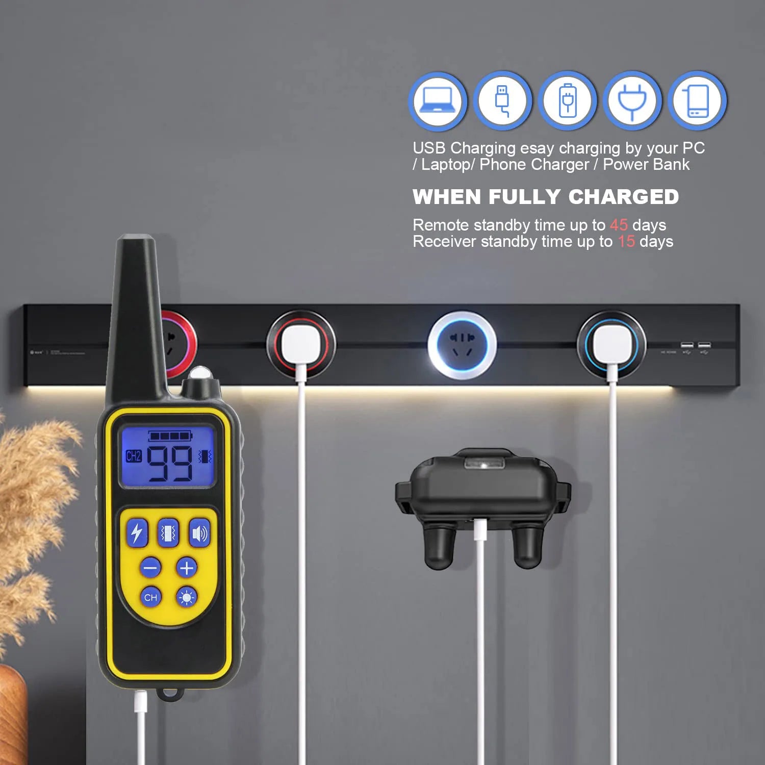 Dog Training Collar with Remote Waterproof Shock Feature - Smarsty