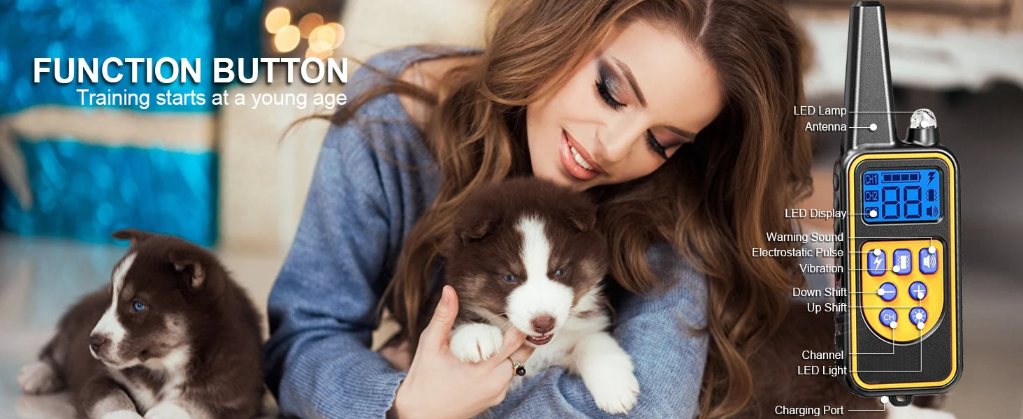 Dog Training Collar with Remote Waterproof Shock Feature - Smarsty