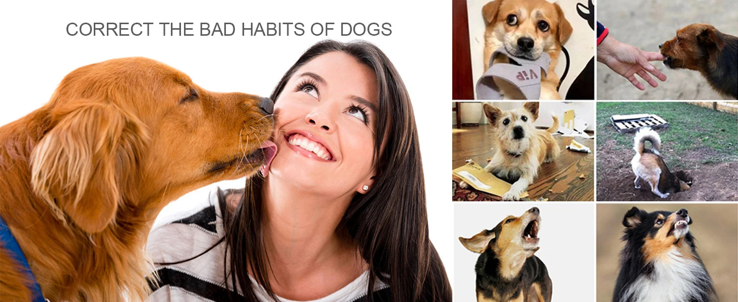 Dog Training Collar with Remote Waterproof Shock Feature - Smarsty