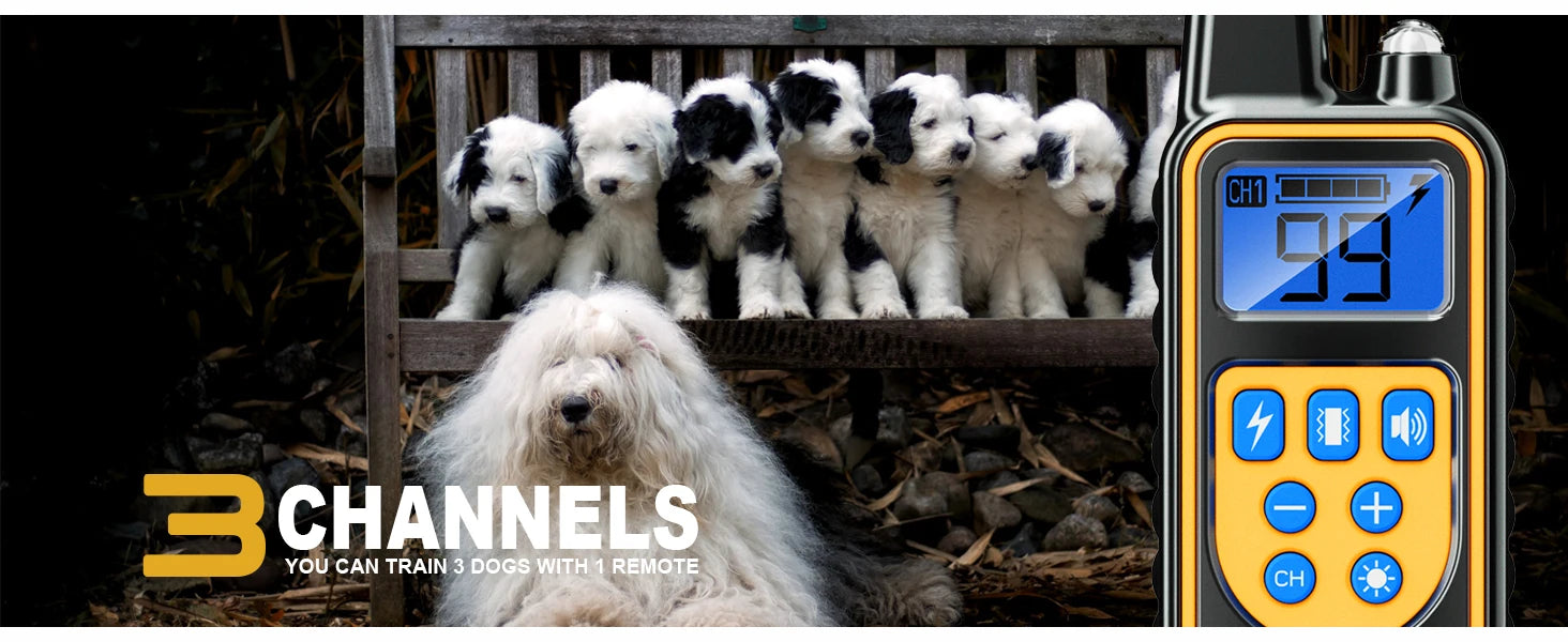 Dog Training Collar with Remote Waterproof Shock Feature - Smarsty