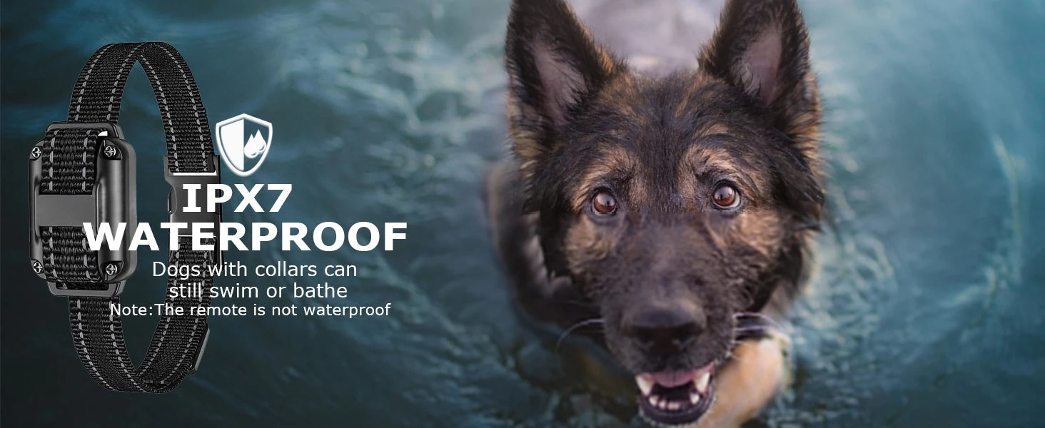 Dog Training Collar with Remote Waterproof Shock Feature - Smarsty