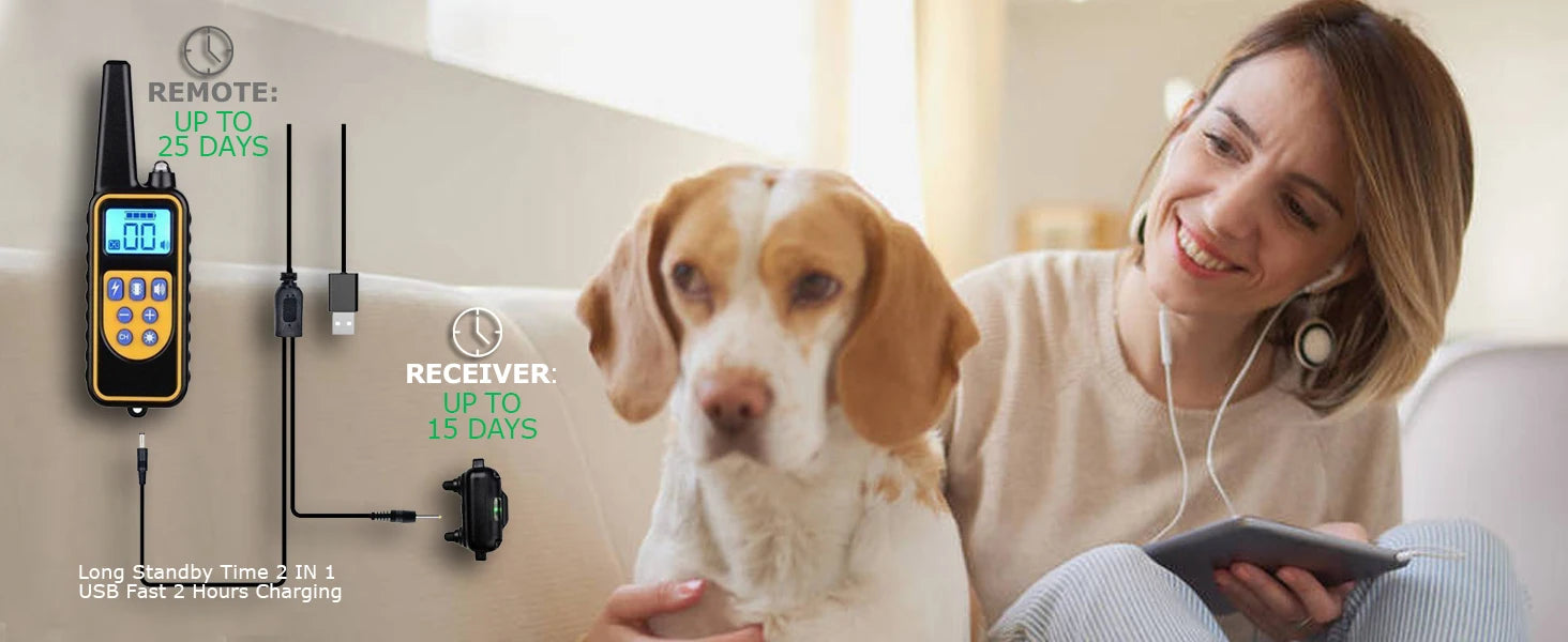 Dog Training Collar with Remote Waterproof Shock Feature - Smarsty