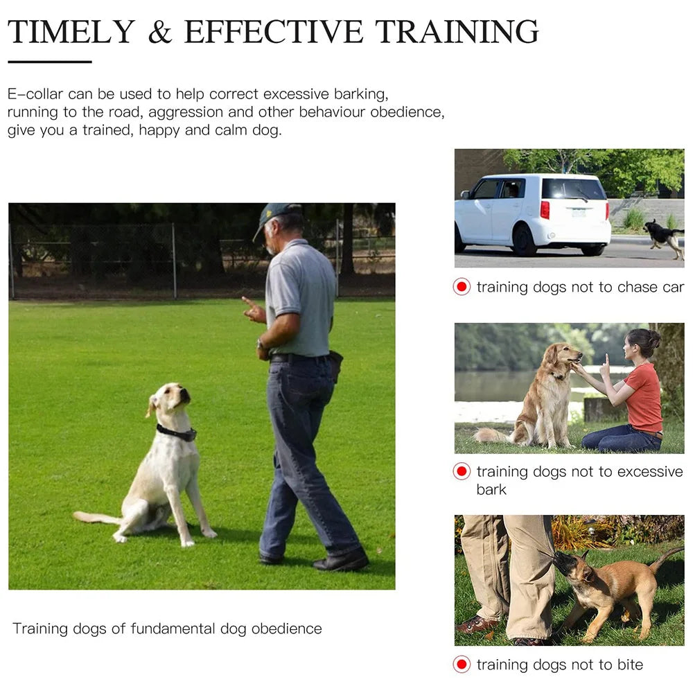Rechargeable Electric Dog Training Collar with Detachable Bark Control - Smarsty