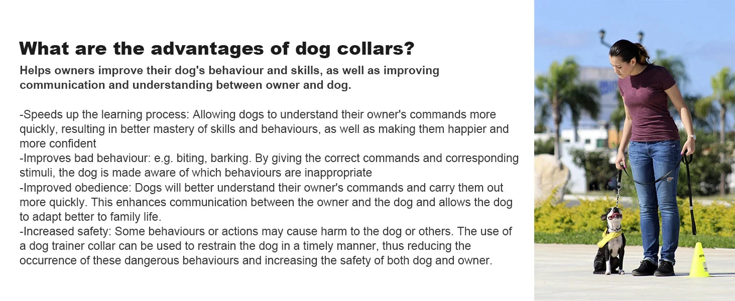 Dog Training Shock Collar with Remote Waterproof and Rechargeable - Smarsty